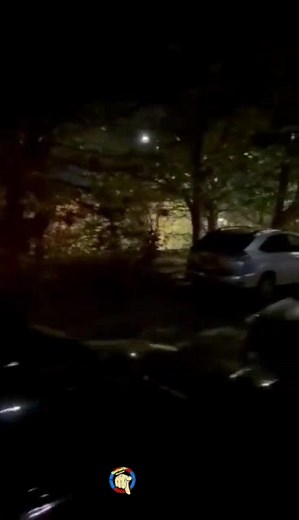 62K views · 91 reactions | Members post Can you please post Harlow council please step in this is Halling hill every year even against my side fence thank you | Spotted in Harlow | Facebook