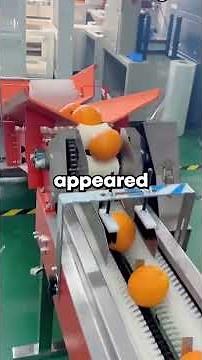 My Parents Forgot To Tell Me They'd Moved. I Drove Six Hours For Christmas. The House Was Sold. I Ca