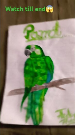 parrot drawing☠️ water colour first try