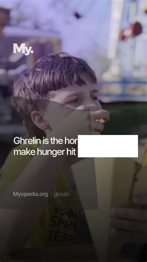 Ghrelin is the hormone that can make hunger hit suddenly. It is a signaling hormone that tells your brain you need food. Levels rise before meals and drop after eating, shaping appetite and meal timing. Managing sleep and regular meals may influence how strongly ghrelin signals hunger. Ghrelin: The Hormone That Makes You Hungry Read Full Article on Myopedia. 🔗 Link in Bio #body #health #hormonesupport #leptin #ghrelin