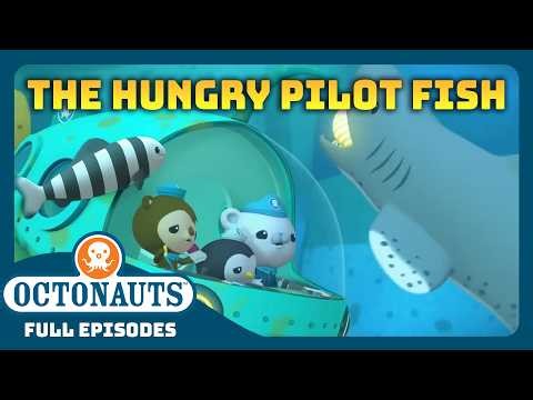 ‪@Octonauts‬ - 🐟 The Hungry Pilot Fish 🦈 | Season 1 | Full Episode | Cartoons for Kids