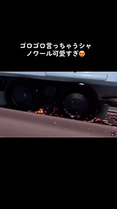 ミラキュラスレディバグとシャノワールの可愛さ