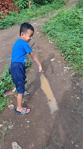 ada ikan lele jumbo#trendingshorts