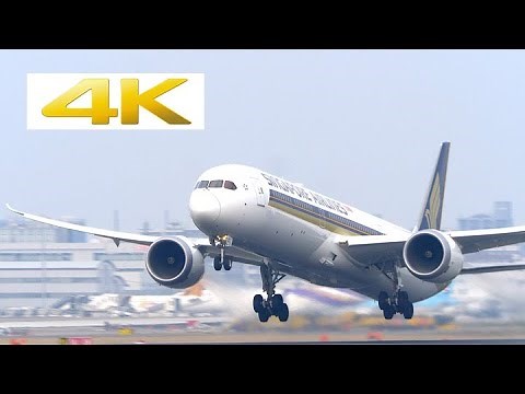 [4k] [飛行機 動画] シンガポール航空(SQ) 787-10