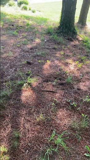 This Is Why Your Septic Failed