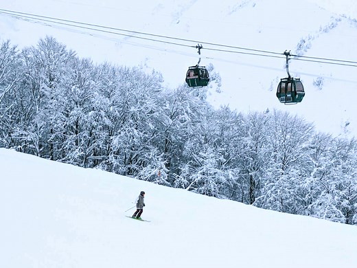 25 Things to Do Around Hakuba & Where to Stay - Snow Monkey Resorts