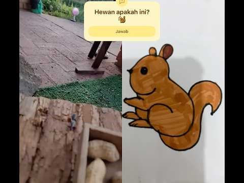 #cute #tupai #squirrel #drawing #fypシ #masukberanda #harusberanda #art #likeforlikes #tips101