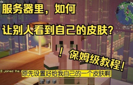 非正版验证/离线模式/服务器中如何让其他人看到自己的皮肤？