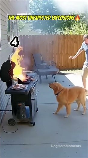 Dogs sense an explosion nearby and protect their owners🔥🐶❤️
