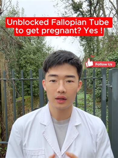 Understanding Blocked Fallopian Tubes and TTC Success