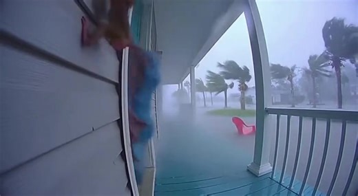 Grandma Ran Into the Hurricane... Just to Save Him Comment 'hero' if this made your day #HeroGrandma #FaithInHumanity #CaughtOnCamera #RingCameraFootage #HurricaneRescue #ViralVideo #Heartwarming #UnbelievableRescue #AnimalRescue #EmotionalMoments #ViralAnimals #GrandmaHero | Lovely Hallopet5