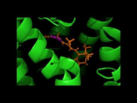 The Molecular Basis of Vision - Computational Chemistry