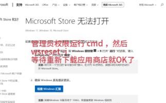 一键解决微软商店 Microsoft Store 闪退问题