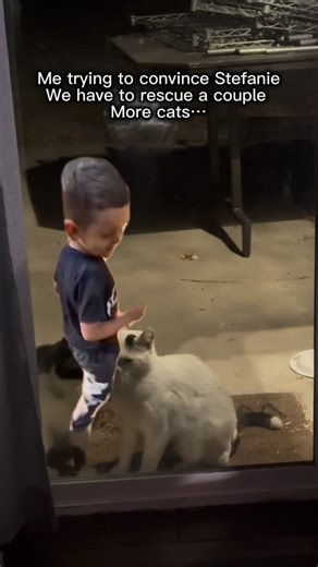 David Loop on Instagram: "😻😂…"