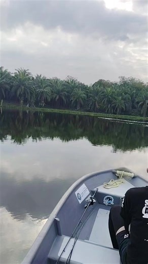 Tips Latihan Lari Kijang