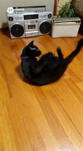 AI Breakdancer: Dancing Kitty Showcase