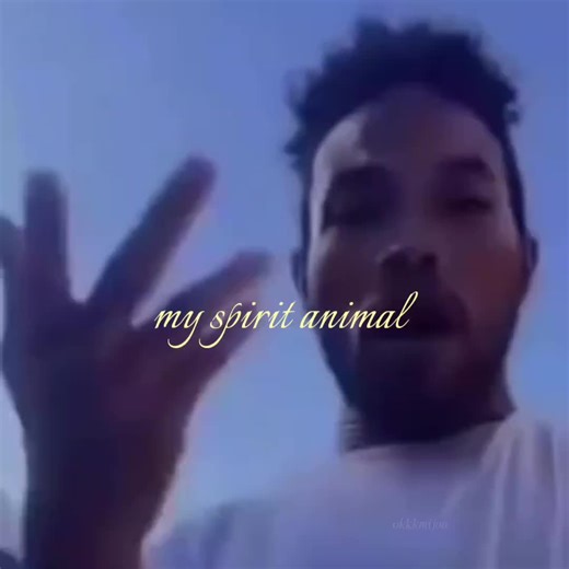 my spirit animal fr fr #shamar #shamarmcco #spiritanimal #funny #foryoupage