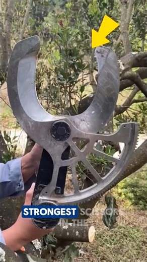 Heavy-Duty Hydraulic Tree Pruning Shears