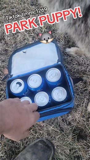 Meet the Best Puppy Ever: Coyote and Pitbull Fun!