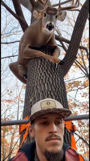 1.4K views · 7.3K reactions | Part 2, watch till end!!! Video idea credit goes to Patricia Johnson! #judychophunter | Daniel Cottrell | Facebook