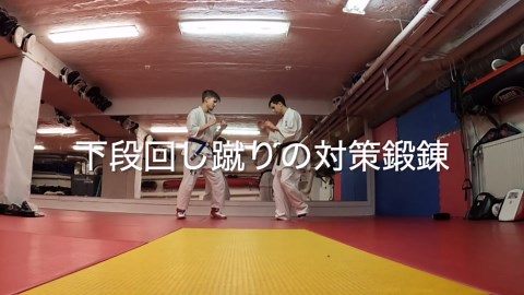 Low Kick Counter Drill – Full-Contact Karate Training