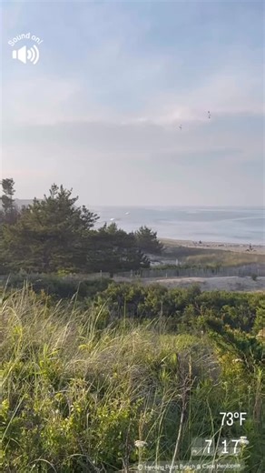 Summer Memories #beachlife #coastaldelaware #lewesdelaware #rehobothbeach | Wellsprings of Wisdom | Facebook