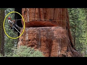 Dangerous Fastest Idiots Cutting Tree Fails Skill With Chainsaw | Tree Falling on Houses