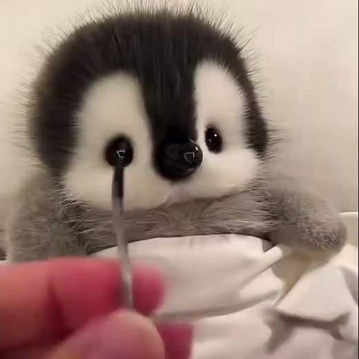 🐧Pippin - Lifelike Penguin Plush Toy - Your Adorable Arctic Companion