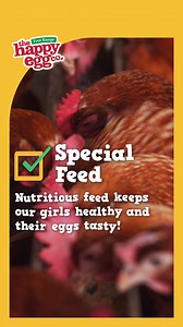 We give our girls special feed, helping our girls lay eggs that are nutritious, rich in Vitamin D and extra tasty. | the happy egg co.