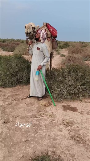 كاضم الشامي: تصوير احترافي للأجواء | ابوجواد