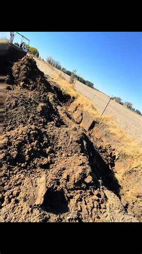 #goose #goosehunting #guide #boundarylineoutfitters #guidelife | Boundary Line Outfitters