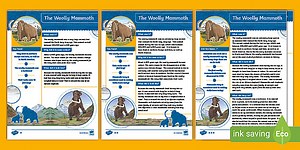 All About The Woolly Mammoth Fact File
