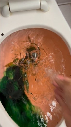 Zurn toilet siphoning out with light orange/green water!!!
