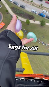 Helicopter Egg Drop: tape them, spread ‘em out, plenty of ground crew to hold the crowd at a safe distance, additional clear emergency landing area in the unlikely event of an engine failure, fly high enough to be able to use it if necessary, experienced ground crew on radio comms to correct for wind drift, additional crew chief/spotter in the helicopter & of course lots of happy kids and parents to gather them all up. Would have preferred meshed bags, but the client showed up with 50 trash bags