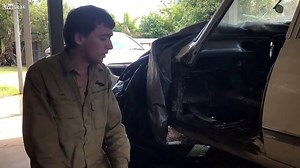 Carpet Python Kills Cat