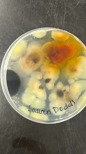 28K views | A B.Sc. degree in Biological Science at the University of Guelph provides a comprehensive, interdisciplinary education for a wide range of career paths, including in health care, education and research. | University of Guelph | Facebook