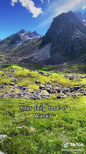 Cherry in Alaska on TikTok