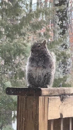 I feel the same when the snacks are gone. | Sarah Stokes