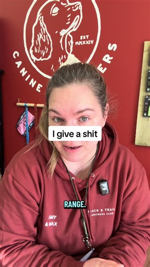 Why Safety Equipment for Dogs Matters