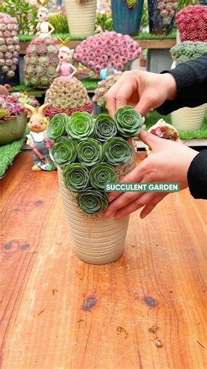 How to Make a Stunning Succulent Arrangement (Step-by-Step!)