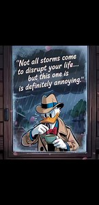 �� . . . . . . #Cows #funnyreels #quotes #jokes | Beauty Of Cows