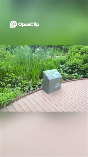 Hidden Trails In Washington DC?!