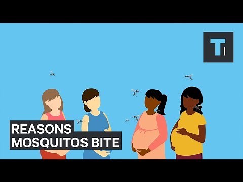 Mosquitoes Bite You If You Do These 5 Things