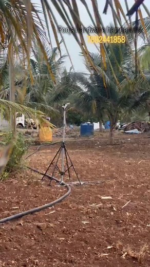 #hdkote #karnataka_tourism #karnatakafarmers🌱🌾 #holesale #easytofarm | Subhash Chand K