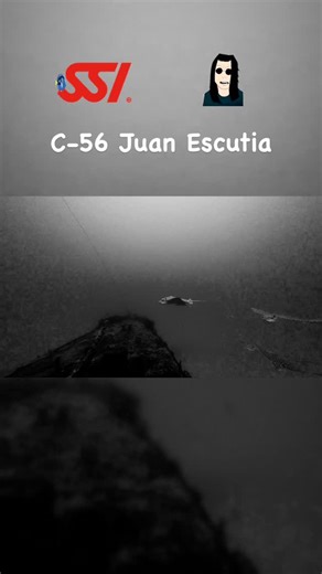 Miguel Tolok Divers | Buceo en el C-56 Juan Escutia Rayas águila volando sobre el barco hundido, acero cubierto de vida y ese azul infinito que solo el Caribe... | Instagram