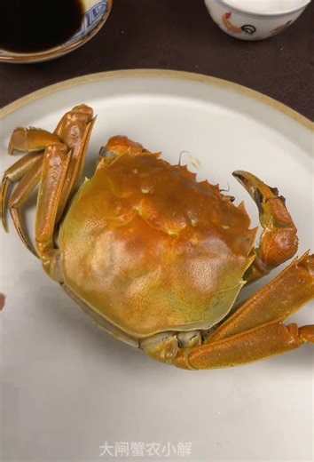 Relaxing ASMR Seafood Eating Sounds