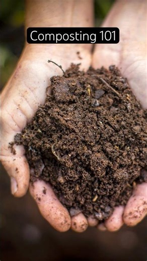 Turn Dirt Into Living Soil: The Magic of Compost 🌱 #gardeningtips