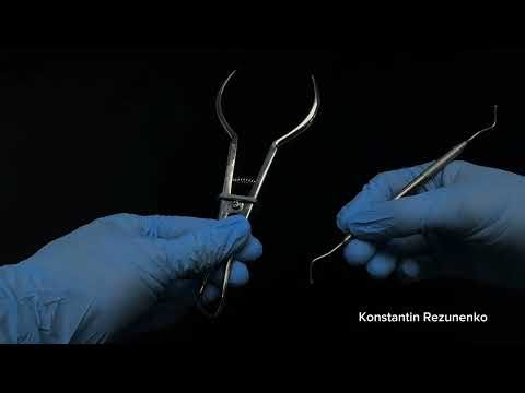 Ergonomic Instrument Transfer in Four-Handed Dentistry
