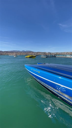 10K views · 154 reactions | 388SS SKATER: PREDATOR III The world...