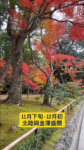 2025日本賞楓時間預測 🍁 #日本旅遊#賞楓#楓葉 #2025日本賞楓 #京都 #東京 #北海道